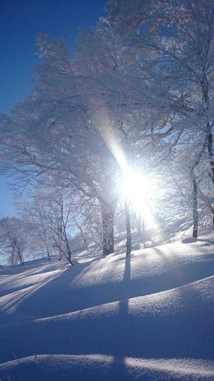 Nozawa Dream Central Buitenkant foto
