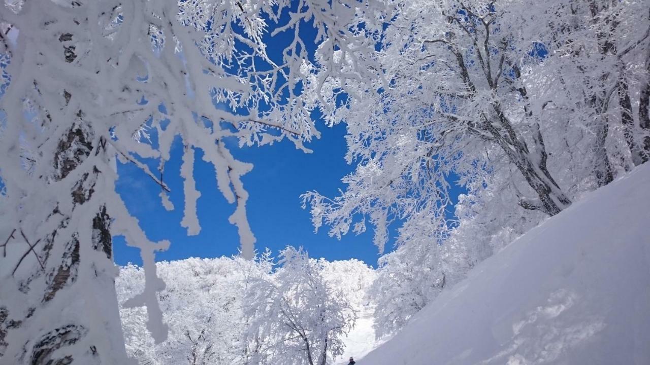 Nozawa Dream Central Buitenkant foto