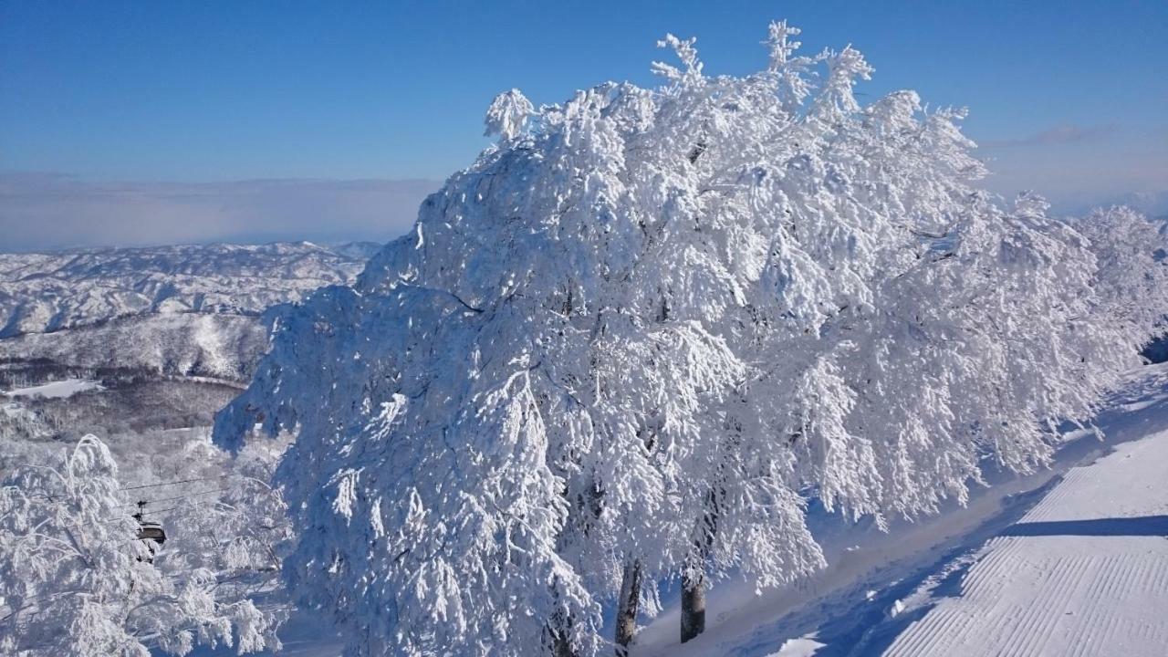 Nozawa Dream Central Buitenkant foto