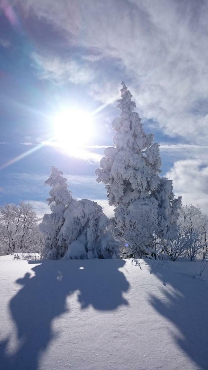Nozawa Dream Central Buitenkant foto