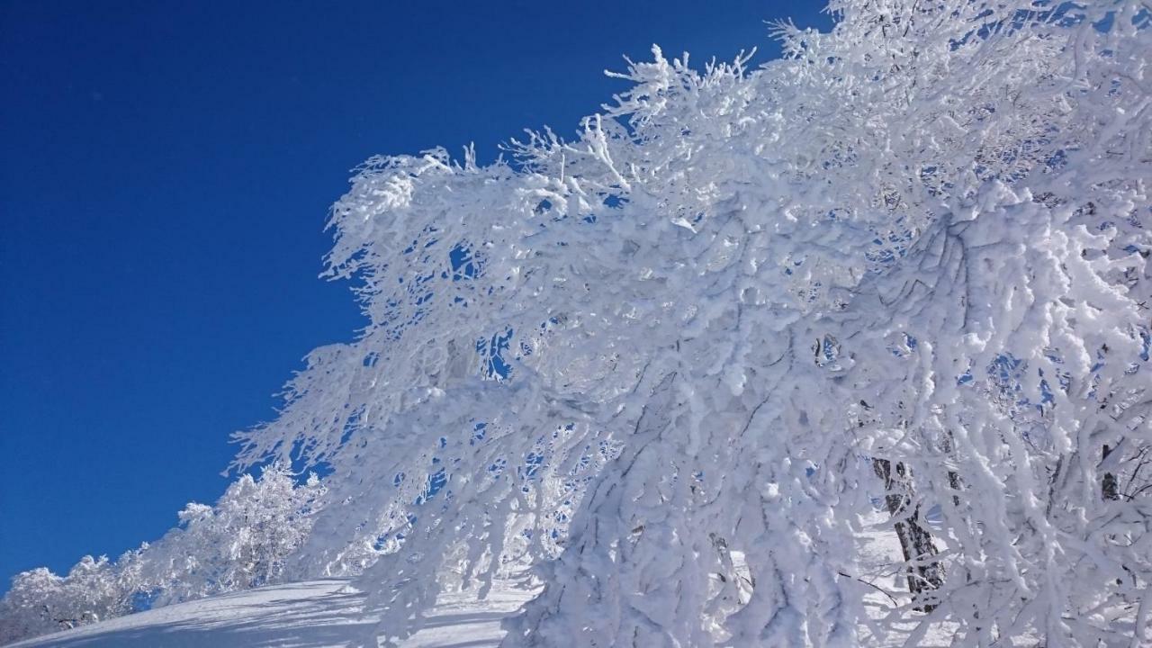 Nozawa Dream Central Buitenkant foto